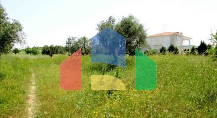 For Sale - Land 3100 m² in Sithonia, Chalkidiki