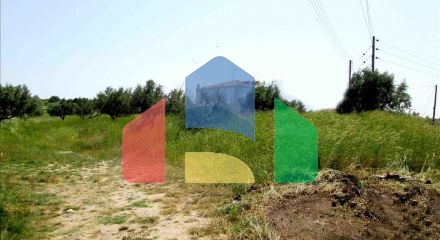 For Sale - Land 3100 m² in Sithonia, Chalkidiki