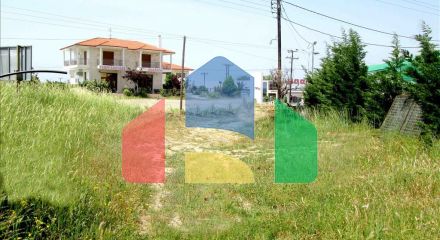 For Sale - Land 3100 m² in Sithonia, Chalkidiki
