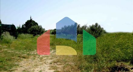For Sale - Land 3100 m² in Sithonia, Chalkidiki