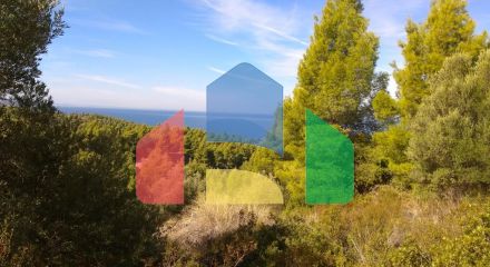For Sale - Land 7250 m² in Sithonia, Chalkidiki