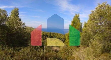 For Sale - Land 7250 m² in Sithonia, Chalkidiki