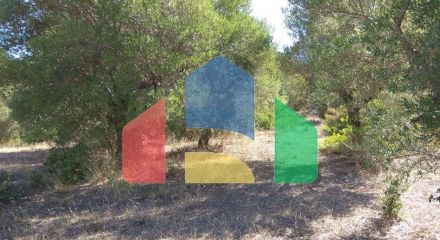 For Sale - Land 7250 m² in Sithonia, Chalkidiki