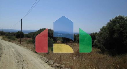Продаж - Земельна ділянка 7125 m² на Сітонії (Халкідіки)