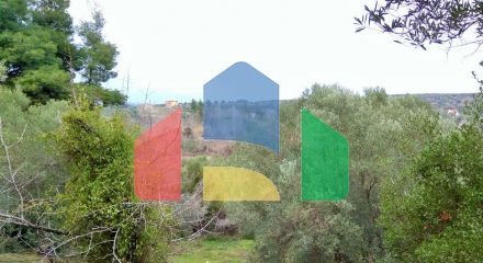 For Sale - Land 4500 m² in Sithonia, Chalkidiki