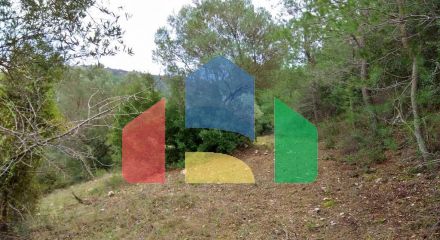 For Sale - Land 4500 m² in Sithonia, Chalkidiki