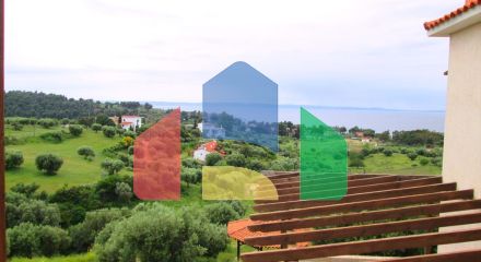 Продажа - Гостиница 1252 m² на Ситонии (Халкидики)