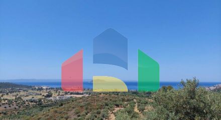For Sale - Land 3500 m² in Sithonia, Chalkidiki