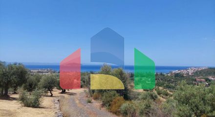 For Sale - Land 3500 m² in Sithonia, Chalkidiki