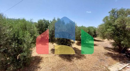 For Sale - Land 3500 m² in Sithonia, Chalkidiki