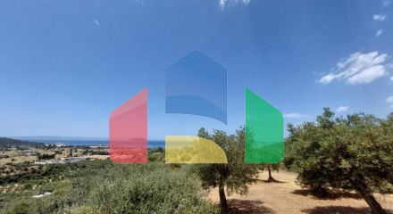 For Sale - Land 3500 m² in Sithonia, Chalkidiki