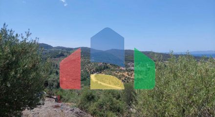 For Sale - Land 3500 m² in Sithonia, Chalkidiki
