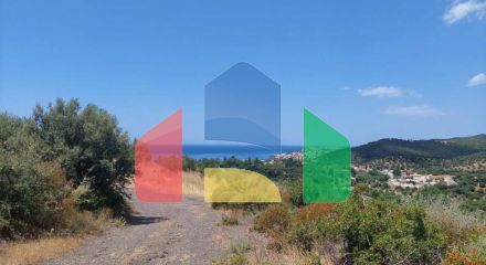 For Sale - Land 3500 m² in Sithonia, Chalkidiki
