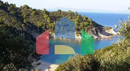 For Sale - Land 12000 m² in Sithonia, Chalkidiki
