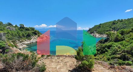For Sale - Land 12000 m² in Sithonia, Chalkidiki