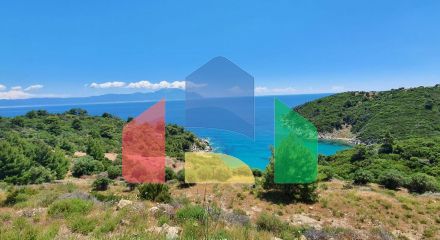 For Sale - Land 12000 m² in Sithonia, Chalkidiki