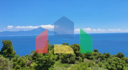 For Sale - Land 12000 m² in Sithonia, Chalkidiki