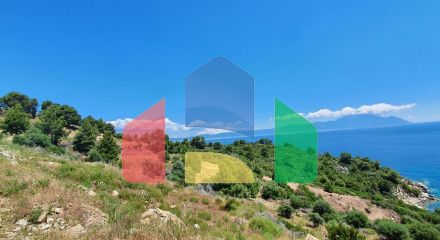 For Sale - Land 12000 m² in Sithonia, Chalkidiki