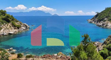 For Sale - Land 12000 m² in Sithonia, Chalkidiki