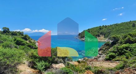 Продажа - Земельный участок 12000 m² на Ситонии (Халкидики) Продажа - Земельный участок 12000 m² на Ситонии (Халкидики)