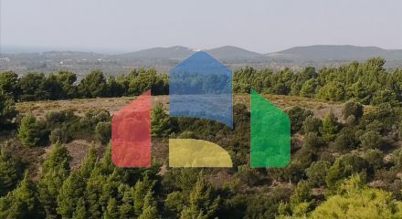 Продажа - Земельный участок 5000 m² на Ситонии (Халкидики)