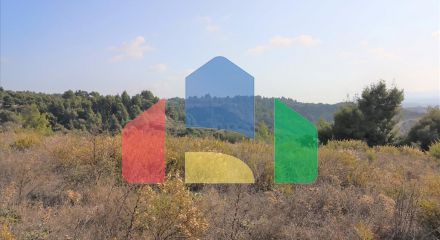 Продажа - Земельный участок 5000 m² на Ситонии (Халкидики)