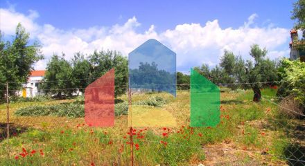 For Sale - Land 4578 m² in Sithonia, Chalkidiki