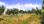 For Sale - Land 4578 m² in Sithonia, Chalkidiki