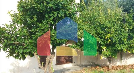 Продажа - Коттедж 220 m² на Ситонии (Халкидики) Продажа - Коттедж 220 m² на Ситонии (Халкидики)