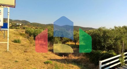 Продаж - Земельна ділянка 7000 m² на Сітонії (Халкідіки)