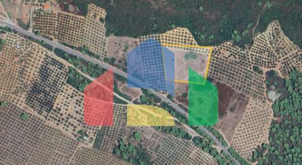 For Sale - Land 10000 m² in Sithonia, Chalkidiki