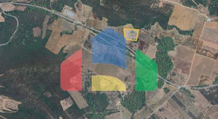 For Sale - Land 10000 m² in Sithonia, Chalkidiki