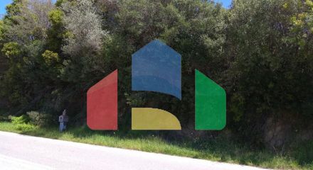 For Sale - Land 3000 m² in Athos, Chalkidiki