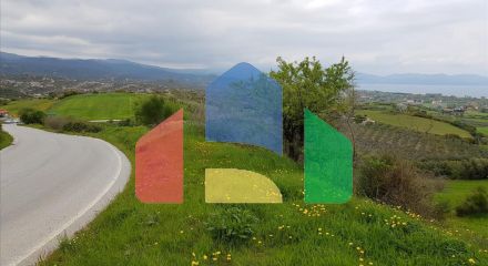 Продажа - Земельный участок 18000 m² на Афоне (Халкидики)