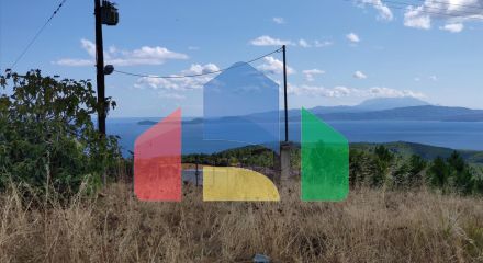 Продажа - Земельный участок 50000 m² на Афоне (Халкидики)