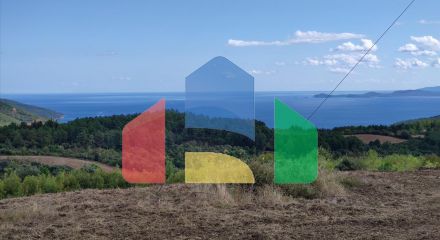 Продажа - Земельный участок 50000 m² на Афоне (Халкидики)