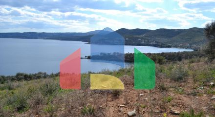 For Sale - Land 15000 m² in Athos, Chalkidiki