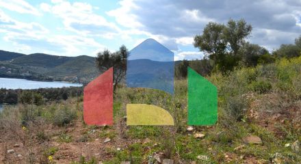 For Sale - Land 15000 m² in Athos, Chalkidiki