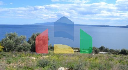 For Sale - Land 15000 m² in Athos, Chalkidiki
