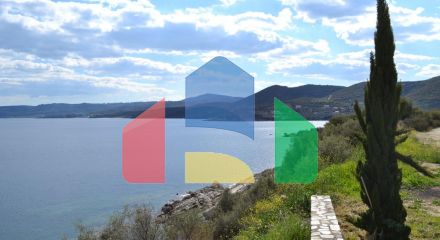 For Sale - Land 15000 m² in Athos, Chalkidiki