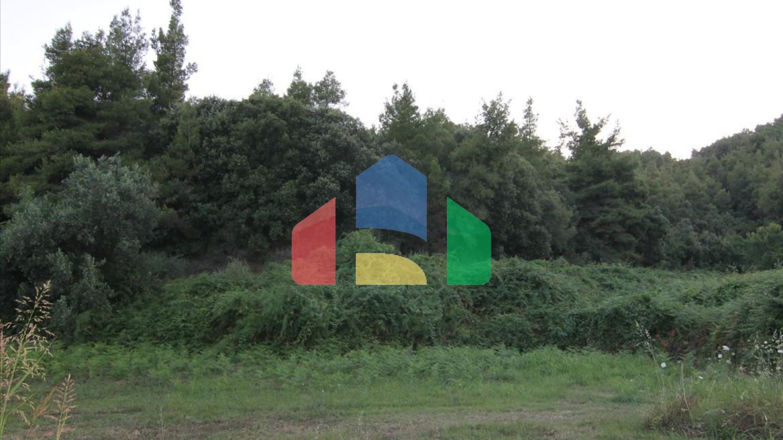 Продаж - Котедж 210 m² на Афоні (Халкідіки)