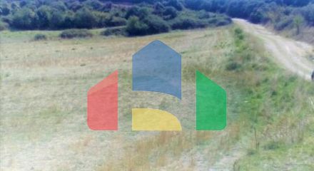 Продаж - Земельна ділянка 4500 m² на Афоні (Халкідіки)