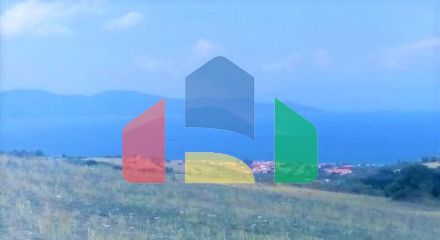 Продаж - Земельна ділянка 4500 m² на Афоні (Халкідіки)