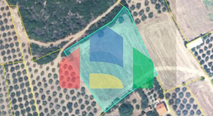Продажа - Земельный участок 4959 m² на Афоне (Халкидики)
