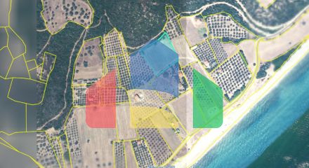 Продажа - Земельный участок 4959 m² на Афоне (Халкидики)