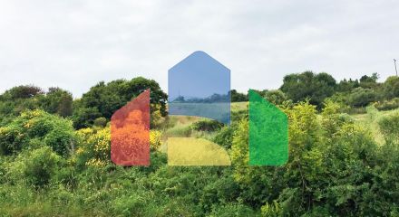 Продаж - Земельна ділянка 12250 m² на Афоні (Халкідіки)