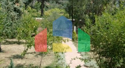 Продажа - Вилла 300 m² на Афоне (Халкидики)