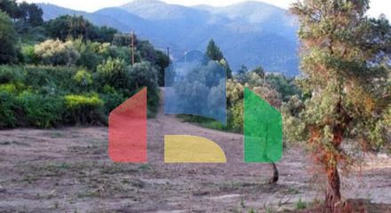 Продажа - Земельный участок 3521 m² на Афоне (Халкидики) Продажа - Земельный участок 3521 m² на Афоне (Халкидики)