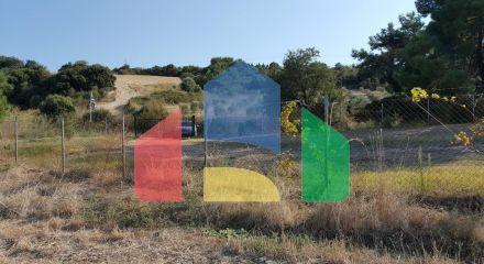 Продажа - Земельный участок 7000 m² на Афоне (Халкидики)