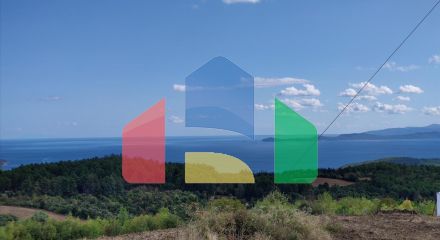 Продаж - Земельна ділянка 100000 m² на Афоні (Халкідіки)